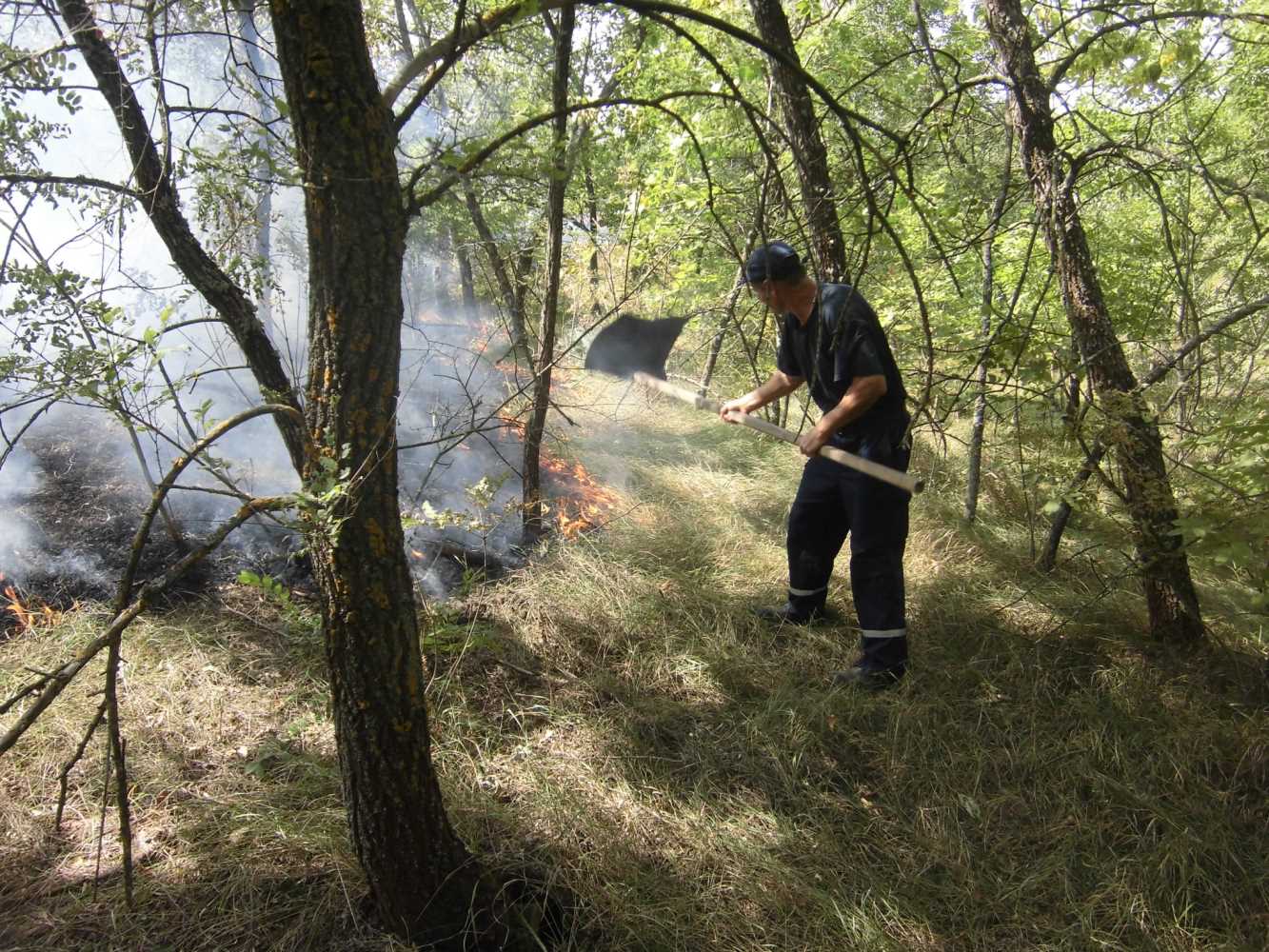 Минулої доби ліквідовано дві пожежі на території Горностаївського лісництва